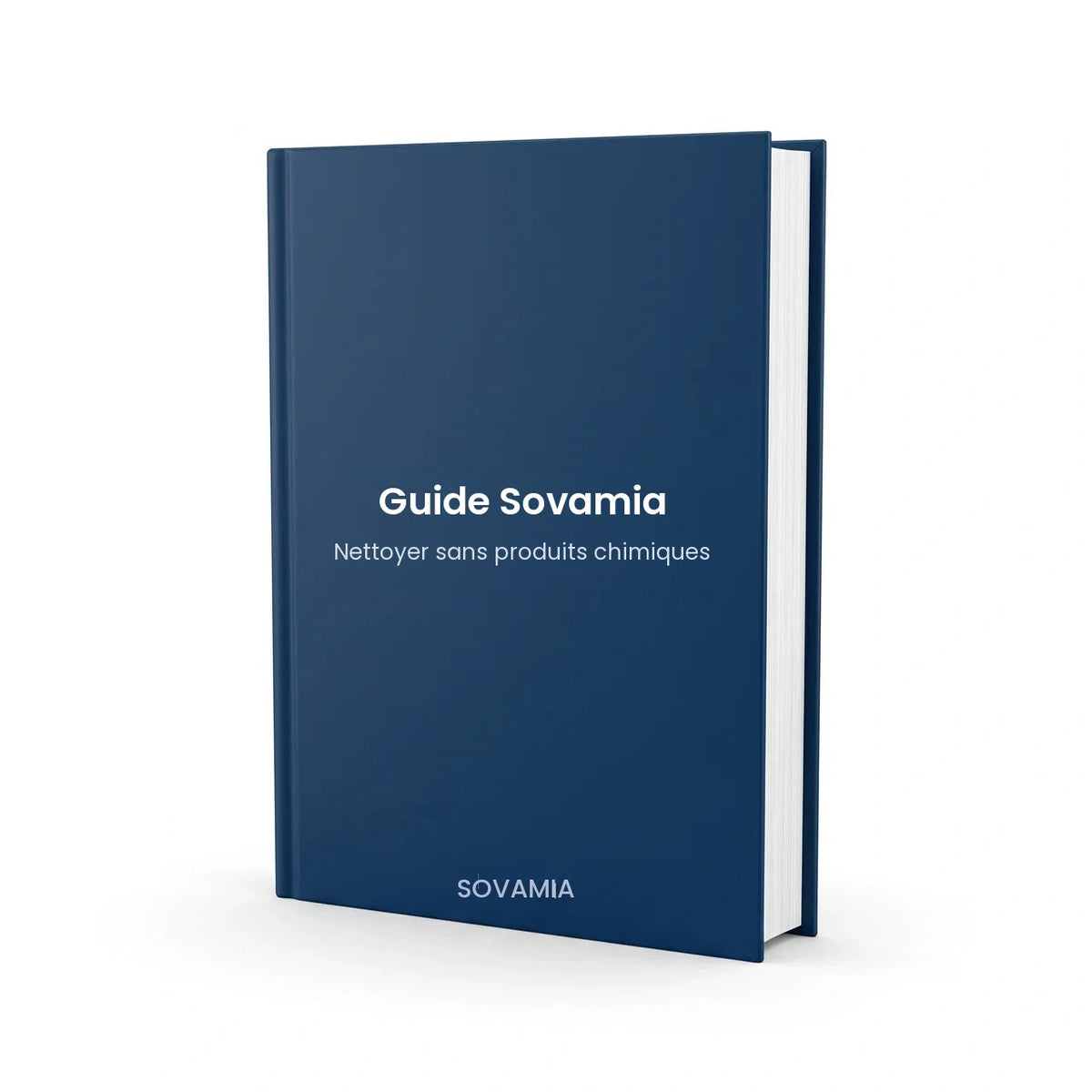 Guide complet du nettoyage à la vapeur — Sovamia